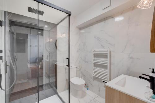 une salle de bain avec une douche, des toilettes et un lavabo dans l'établissement Studio Place Dupuy, clim, parking, terrasse, à Toulouse