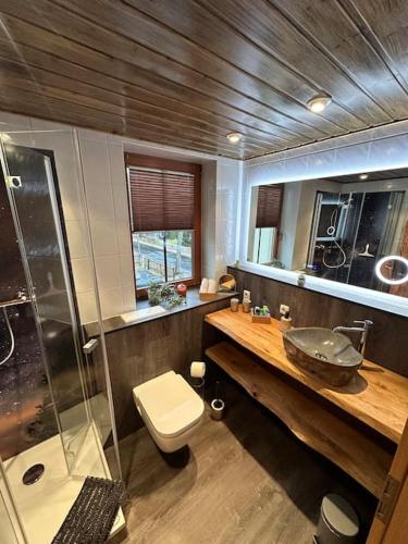 a bathroom with a toilet and a sink and a shower at The Bridge - between NewZealand & OreMountains in Eibenstock