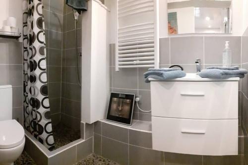 uma casa de banho com um chuveiro, um lavatório e um WC. em un petit nid douillet em Beauchastel