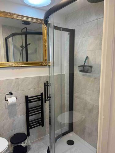 een badkamer met een douche, een toilet en een spiegel bij The Annex in York in York