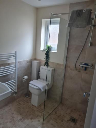 a bathroom with a toilet and a shower with a plant at 5Bed House Wirral near Liverpool Chester in Wirral