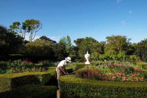 Κήπος έξω από το Steenberg Hotel & Spa