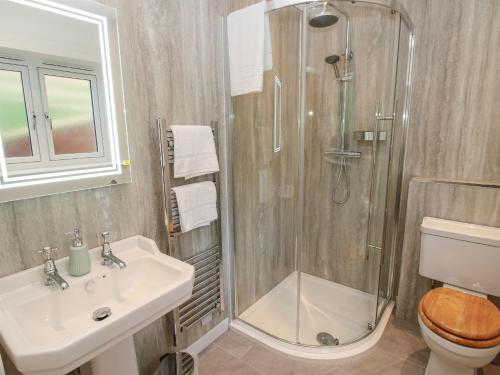 a bathroom with a shower and a sink and a toilet at Border View Lodge in Welshpool