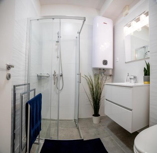 a bathroom with a glass shower and a sink at Love House Balatonboglár Apartman in Balatonboglár