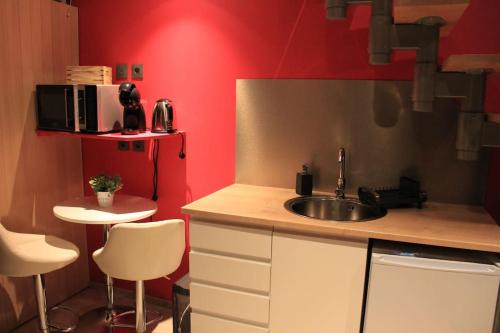 a kitchen with a sink and a red wall at L'Ecrin duplex balnéo & Sauna in Troyes