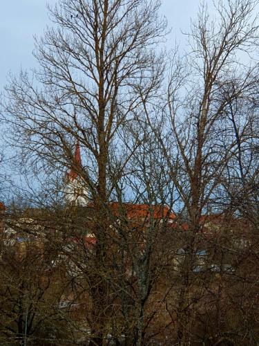 Gallery image of Cēsu mājas Raiņa ielā in Cēsis