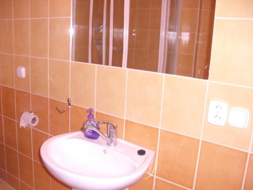 Bilik mandi di Apartmany Kanianka