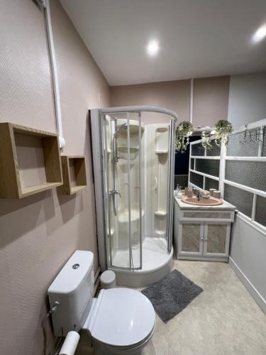 ein Bad mit einer Dusche, einem WC und einem Waschbecken in der Unterkunft Maison la Dieppoise in Dieppe