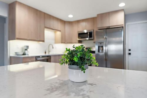 a kitchen with a potted plant sitting on a counter at Urban Lake Life in Minneapolis