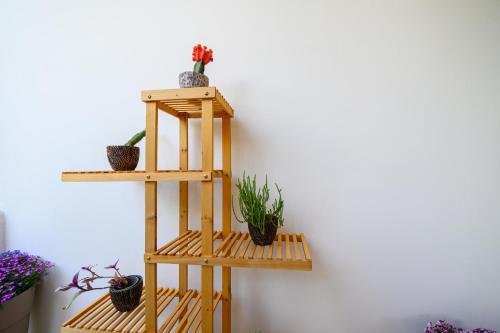 a wooden shelf with potted plants on a wall at Chic Apartment in Nature in Kalamata