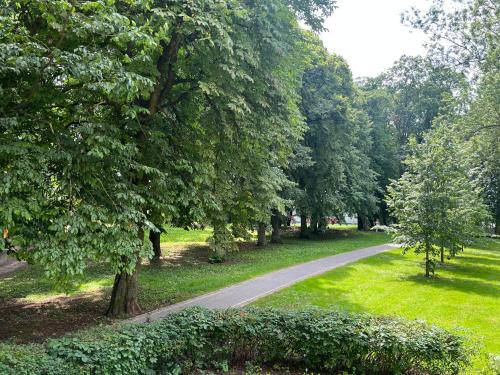 a path in a park with trees and grass at Apartament Chrobry in Kętrzyn