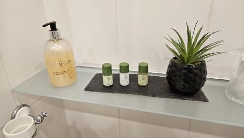 a shelf with three bottles of soap and a plant at Victoria Loft in Bowness-on-Windermere