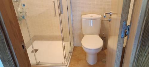 a small bathroom with a toilet and a shower at La CASUCA ENTRE TINAS in Pesués