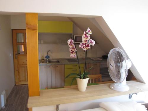 a kitchen with a fan and flowers on a shelf at Apartma Zo-Vi Bled in Bled