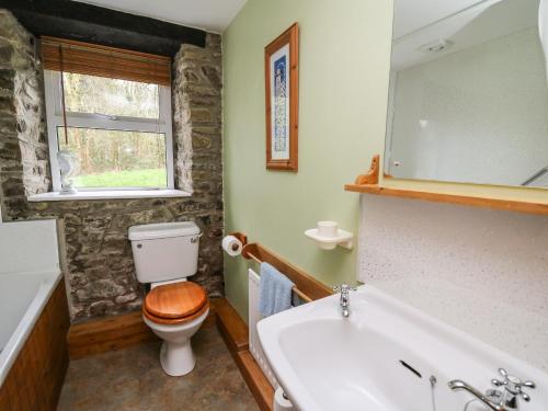 a bathroom with a toilet and a sink at Trawsnant Cottage in New Quay