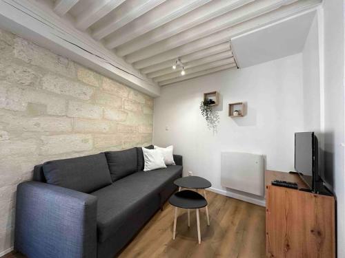 ein Wohnzimmer mit einem Sofa und einem TV in der Unterkunft Studio Hyper Centre in Avignon