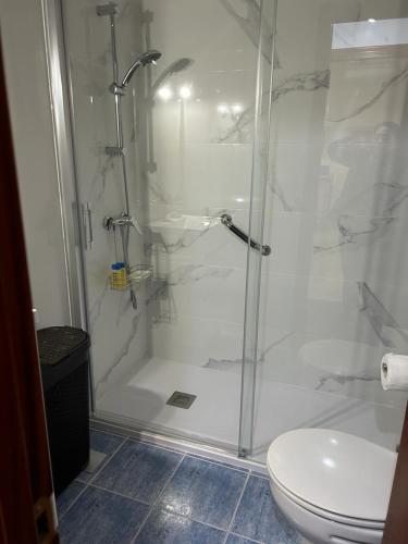 a bathroom with a shower and a toilet at Piso Alameda Carballiño in Carballino