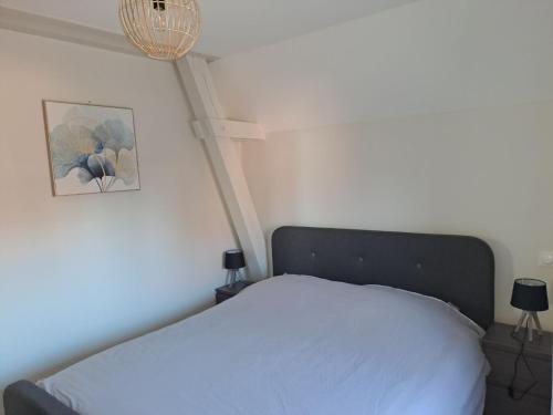 Postel nebo postele na pokoji v ubytování Appartement 3 pièces tout confort, Aux Portes de Colmar