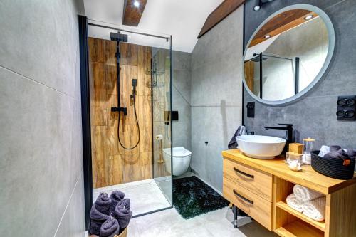 a bathroom with a shower and a sink and a mirror at Willa KAMELIA-apartamenty in Krynica Zdrój