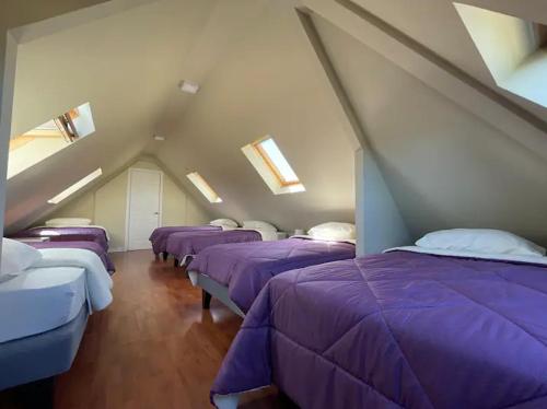 a room with purple beds in a attic at Casa Zeta in Viña del Mar