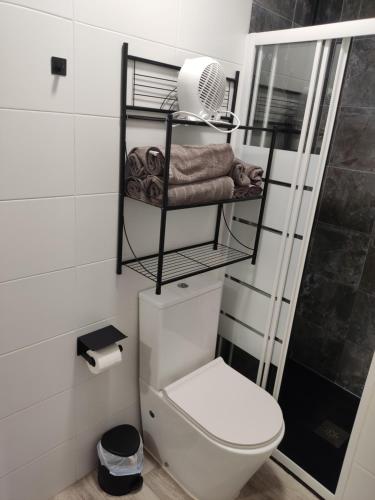 een badkamer met een toilet en een douche bij Apartamento turístico San Andrés in Badajoz