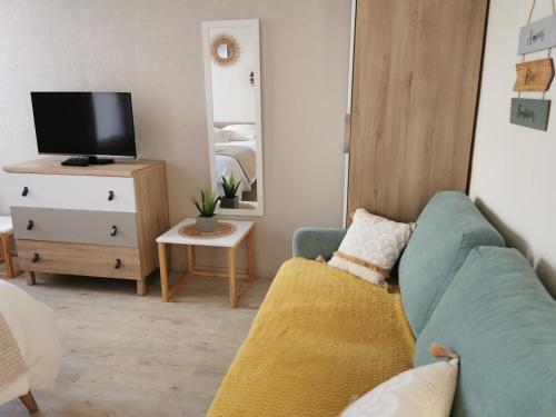 un salon avec un canapé bleu et une télévision dans l'établissement Appartement Amiral d'Aboville, à Cherbourg en Cotentin
