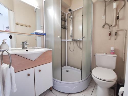 une salle de bain avec une douche, des toilettes et un lavabo dans l'établissement Appartement Amiral d'Aboville, à Cherbourg en Cotentin