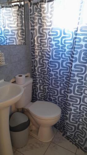 a bathroom with a toilet and a shower curtain at Hospedaje entre rokas in Huasco