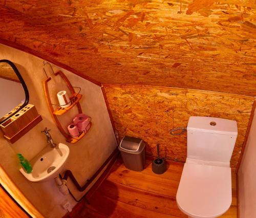ein kleines Bad mit WC und Waschbecken in der Unterkunft Charmant presbytère en Basse-Normandie in Crouttes