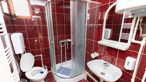 a red tiled bathroom with a toilet and a sink at Etno Apartmani ''Vlaška kuća'' in Kladovo