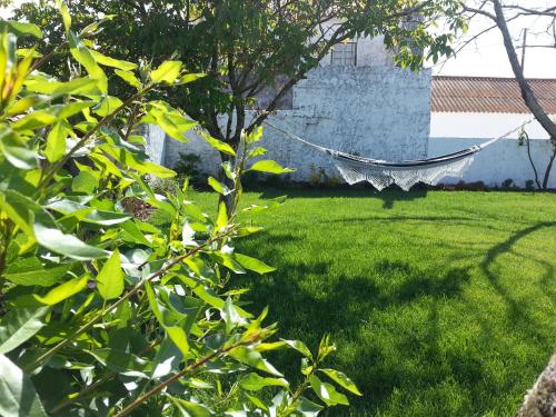 a hammock in a yard with green grass at Casas da Moagem in São Domingos
