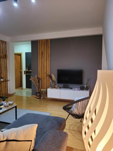 ein Wohnzimmer mit einem Sofa und einem TV in der Unterkunft Apartman Riva in Kraljevo