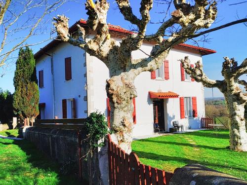 a white house with a tree in front of it at Beau studio indépendant in Arraute-Charritte