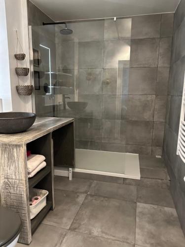 une salle de bain avec un lavabo et une douche dans l'établissement Le cocon Ruellois, à Rueil-Malmaison