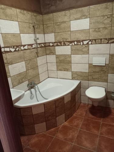 a bathroom with a tub and a toilet at Penzion U strhaného klempíře in Ropice