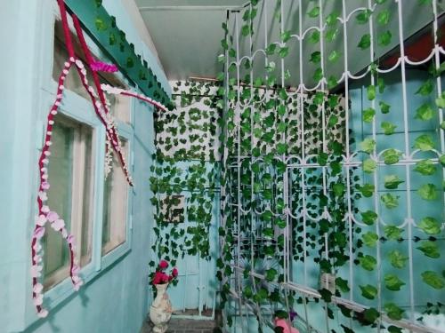 a room with a wall filled with lots of plants at Sweet Home Hostel in Baku
