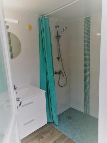 une salle de bain avec une douche avec un rideau de douche dans l'établissement maison Paulilles, à Port-Vendres