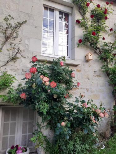 een raam met rozen aan de zijkant van een gebouw bij Esprit Troglo in Beaumont-en-Véron