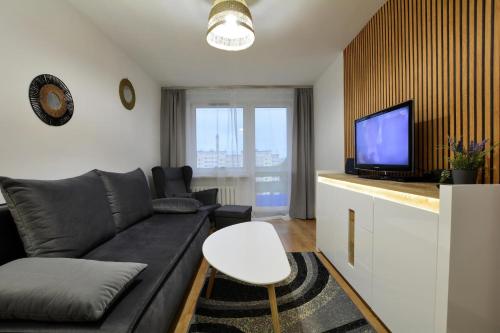 Televízia a/alebo spoločenská miestnosť v ubytovaní Apartament Dzień Dobry 3