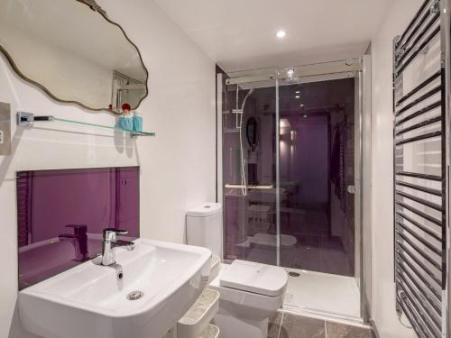 a bathroom with a sink and a toilet at 1 Bed in Hatherleigh 78087 in Hatherleigh
