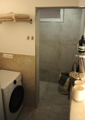 a small bathroom with a shower and a toilet at Deluxe-Apartment Altstadt in Ettlingen