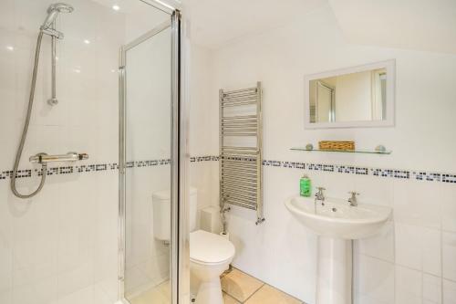 uma casa de banho com um WC, um lavatório e um chuveiro em Greystones em Milnthorpe