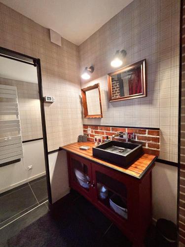 une salle de bain avec un lavabo et un miroir dans l'établissement La Grange Aux Hirondelles - Chambre Ch'ti, à Woignarue