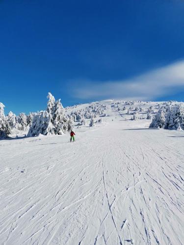 a person riding a snowboard down a snow covered slope at Dux Apartmani - Milmari, Kopaonik in Cajetina