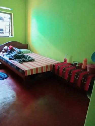Bett in einem grünen Raum mit Avertisation in der Unterkunft Dimuthu's house in Dikwella
