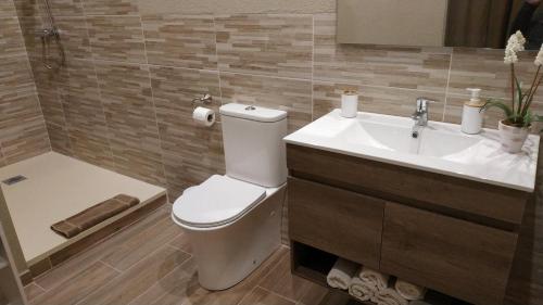 Fonolleras的住宿－CAN PLANAS , Estudio Familiar，一间带卫生间和水槽的浴室