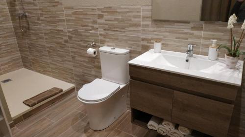 a bathroom with a toilet and a sink at CAN PLANAS , Estudio Familiar in Fonolleras