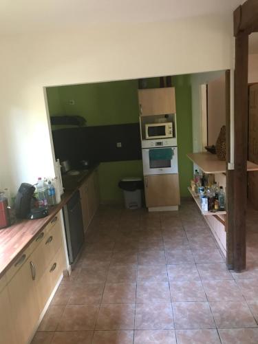 a kitchen with green walls and a stove top oven at Maison Nature in Le Moule