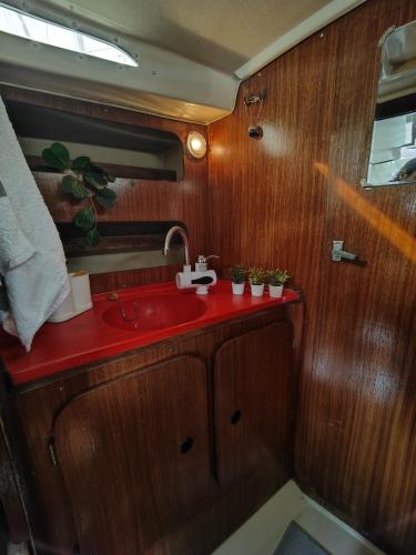 uma casa de banho com um lavatório vermelho com vasos de plantas em Abombordo em Lisboa