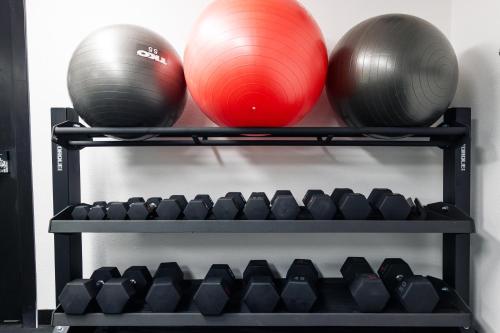 Fitness centrum a/nebo fitness zařízení v ubytování Gravity Haus Steamboat